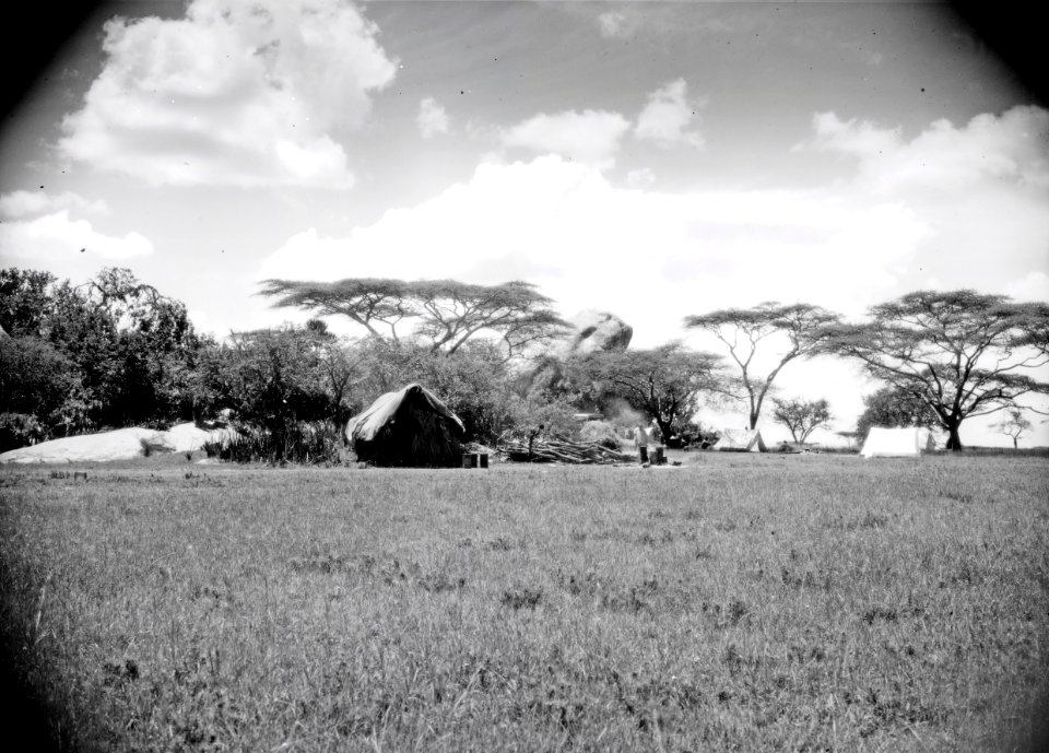 ETH-BIB-Camp Serengeti-Kilimanjaroflug 1929-30-LBS MH02-07-0507