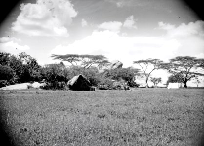 ETH-BIB-Camp Serengeti-Kilimanjaroflug 1929-30-LBS MH02-07-0507 photo