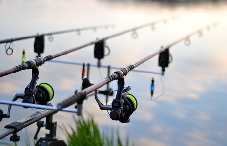 Rybařina carp recreation