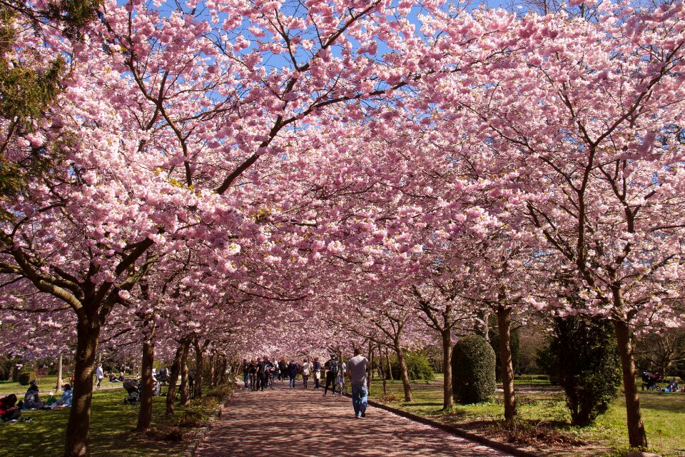 Cemetery spring all