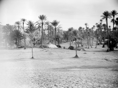 ETH-BIB-Colomb-Béchar-Tschadseeflug 1930-31-LBS MH02-08-0344