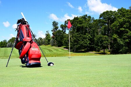 Sport green sports green golf