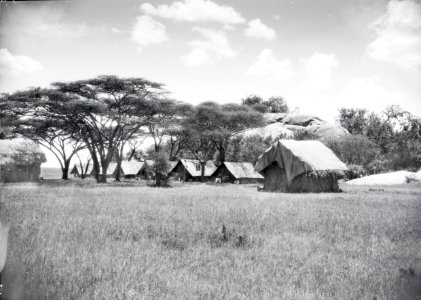 ETH-BIB-Das Serengeti-Camp-Kilimanjaroflug 1929-30-LBS MH02-07-0047 photo