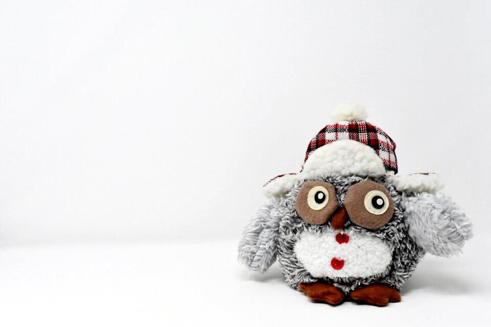 Decoration funny bird