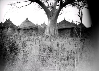 ETH-BIB-Dorf in Afrika-Tschadseeflug 1930-31-LBS MH02-08-0869