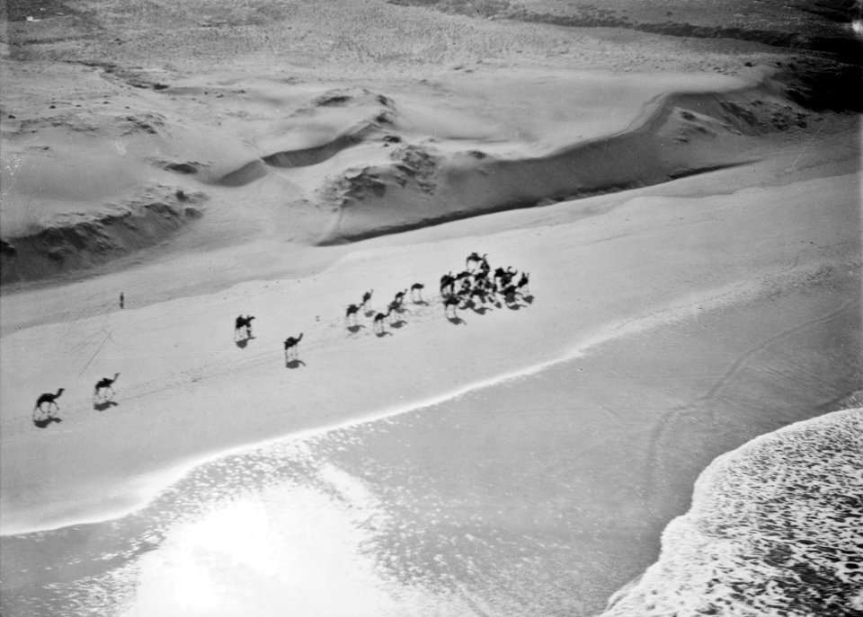 ETH-BIB-Dort wo Wüste und Meer zusammenstossen, sichteten wir eine der gefährlichen Räuberkarawanen-Tschadseeflug 1930-31-LBS MH02-08-1022