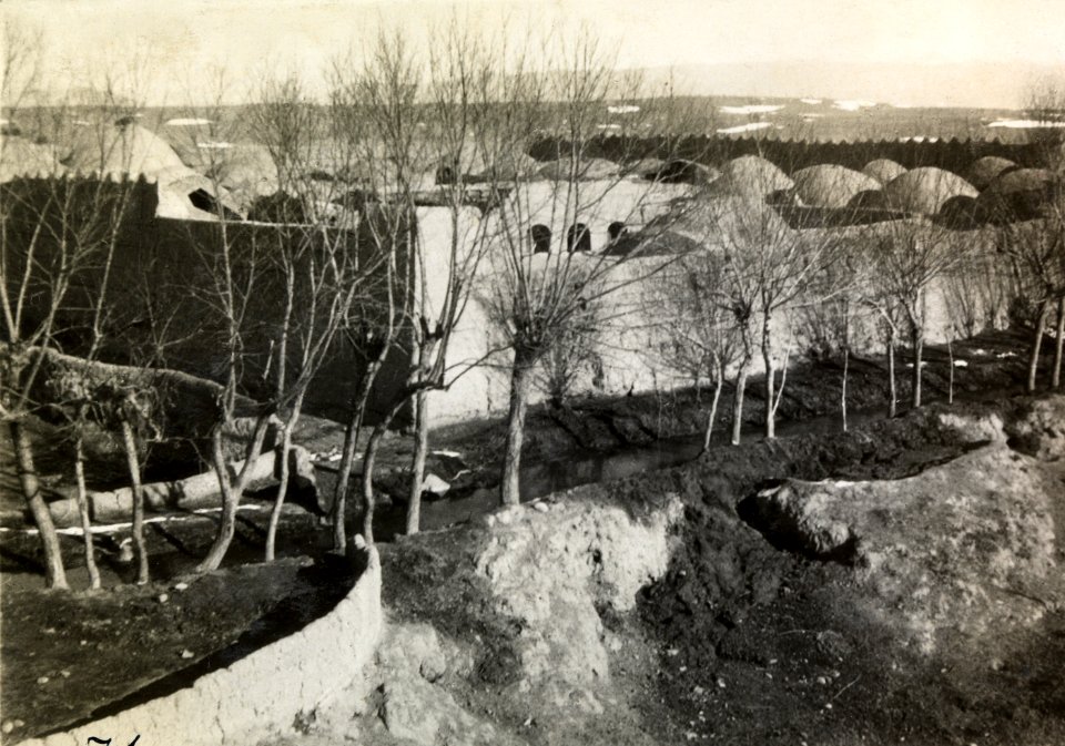 ETH-BIB-Dorf in der Oase Viramin (Standaufnahme)-Persienflug 1924-1925-LBS MH02-02-0071-AL-FL