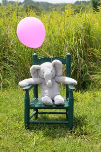 New baby elephant gray and pink photo