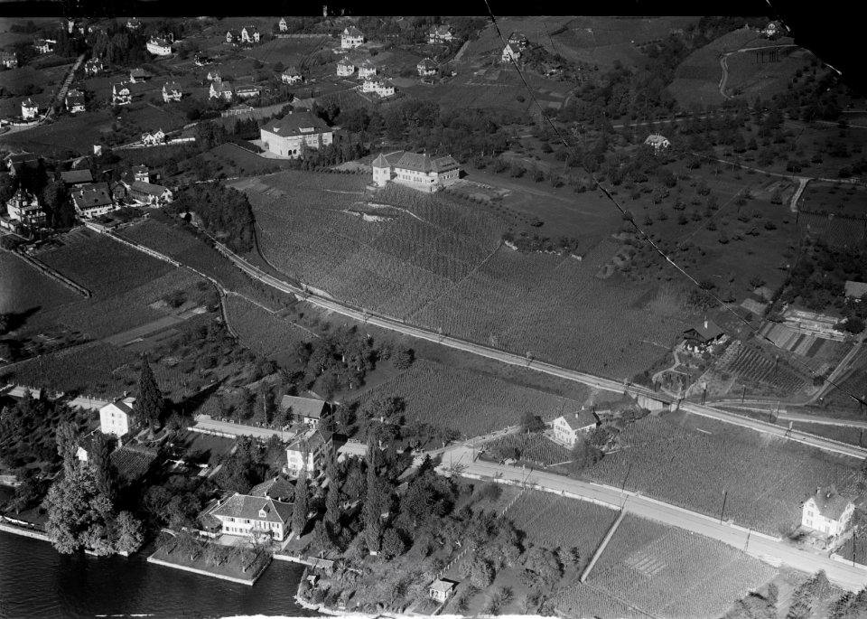 ETH-BIB-Erlenbach, Rebberge v. S. W. aus 1000 m-Inlandflüge-LBS MH01-004933