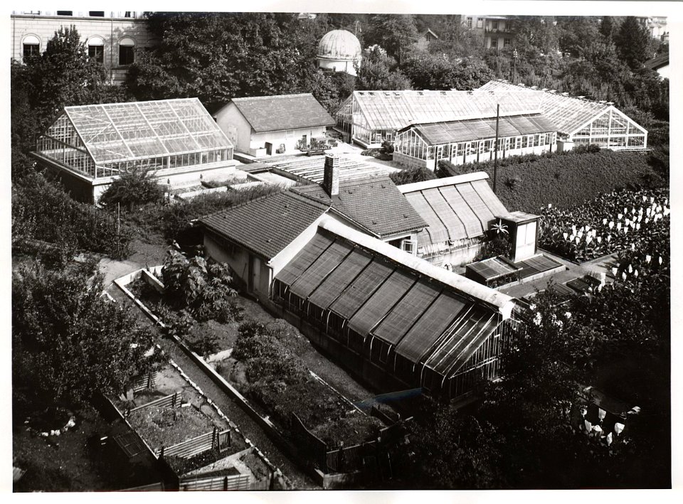 ETH-BIB-ETH Zürich, Landwirtschaft Westbau (LFW)-Ans 02584