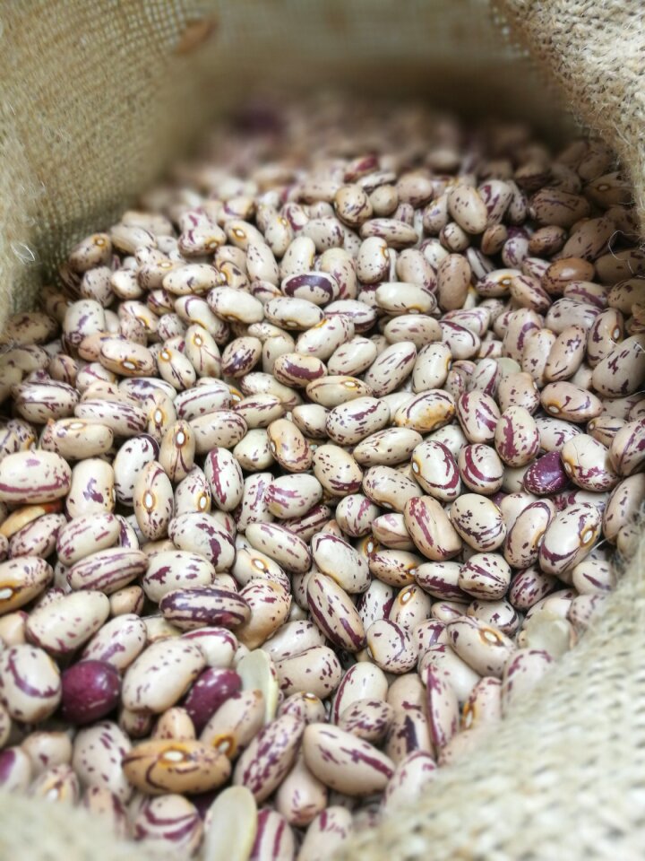 Beans greet healthy food