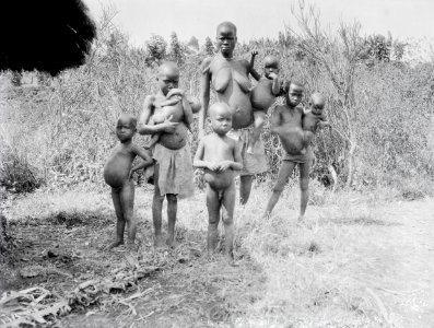 ETH-BIB-Familie in der Serengeti-Kilimanjaroflug 1929-30-LBS MH02-07-0073