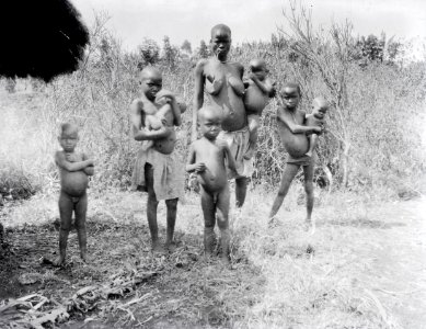 ETH-BIB-Familie in der Serengeti-Kilimanjaroflug 1929-30-LBS MH02-07-0071 photo