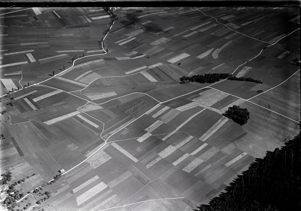 ETH-BIB-Felder, Val-de-Ruz, zwischen Savagnier und Villiers v. S. aus 1600 m-Inlandflüge-LBS MH01-005269