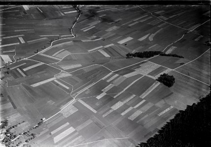 ETH-BIB-Felder, Val-de-Ruz, zwischen Savagnier und Villiers v. S. aus 1600 m-Inlandflüge-LBS MH01-005269