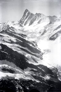 ETH-BIB-Finsteraarjoch, Finsteraarhorn, Grindelwaldgletscher v. N. aus 3800 m-Inlandflüge-LBS MH01-006228