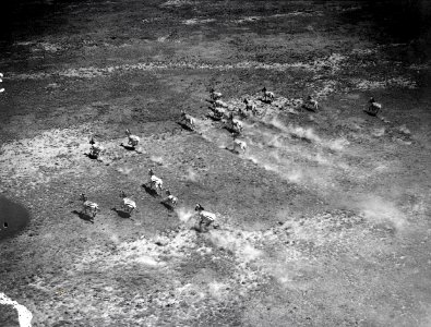ETH-BIB-Fliehende Zebras-Kilimanjaroflug 1929-30-LBS MH02-07-0347 photo