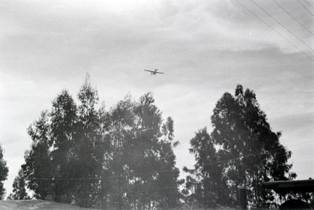 ETH-BIB-Flugzeug im Flug über einem Wald-Abessinienflug 1934-LBS MH02-22-1161