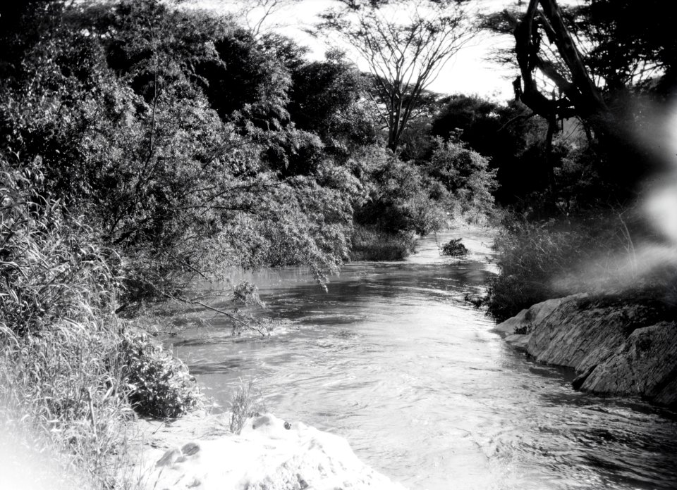 ETH-BIB-Flusslandschaft-Kilimanjaroflug 1929-30-LBS MH02-07-0284