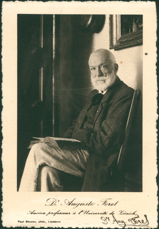 ETH-BIB-Forel, Auguste Henri (1838-1931)- Ancien professeur à l'Université de Zürich-Portrait-Portr 02856