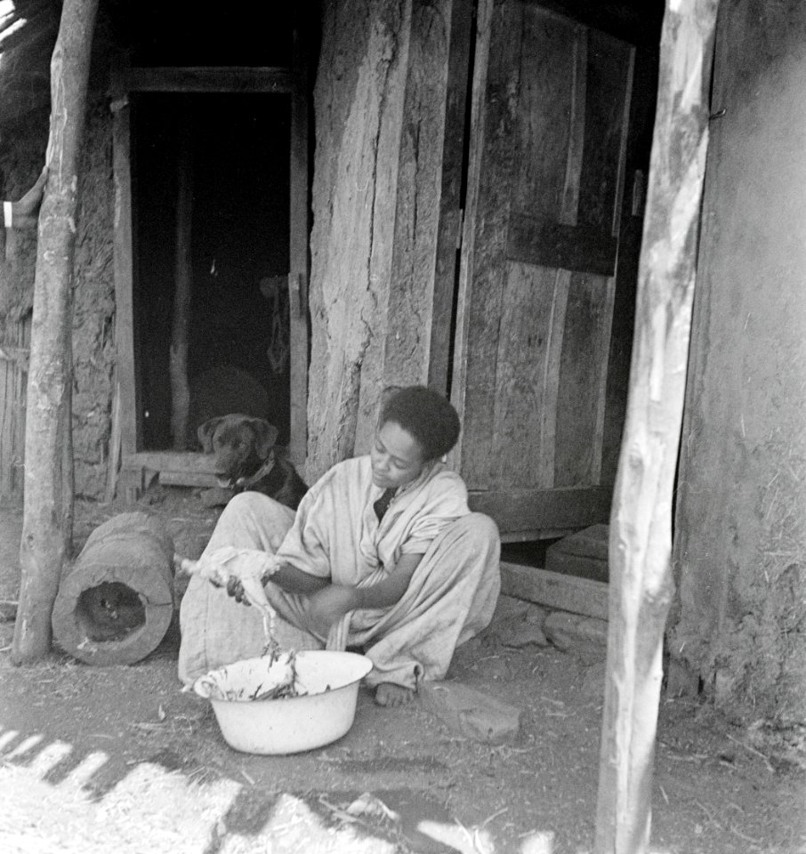 ETH-BIB-Frau mit Hund vor Hütte-Abessinienflug 1934-LBS MH02-22-0658