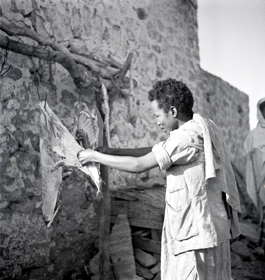 ETH-BIB-Frau bei Bearbeitung von getrocknetem Fleisch-Abessinienflug 1934-LBS MH02-22-0745