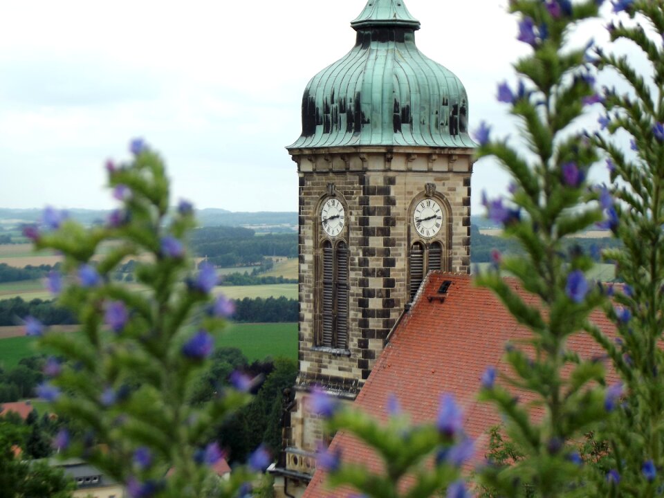 Church clock church flowers photo