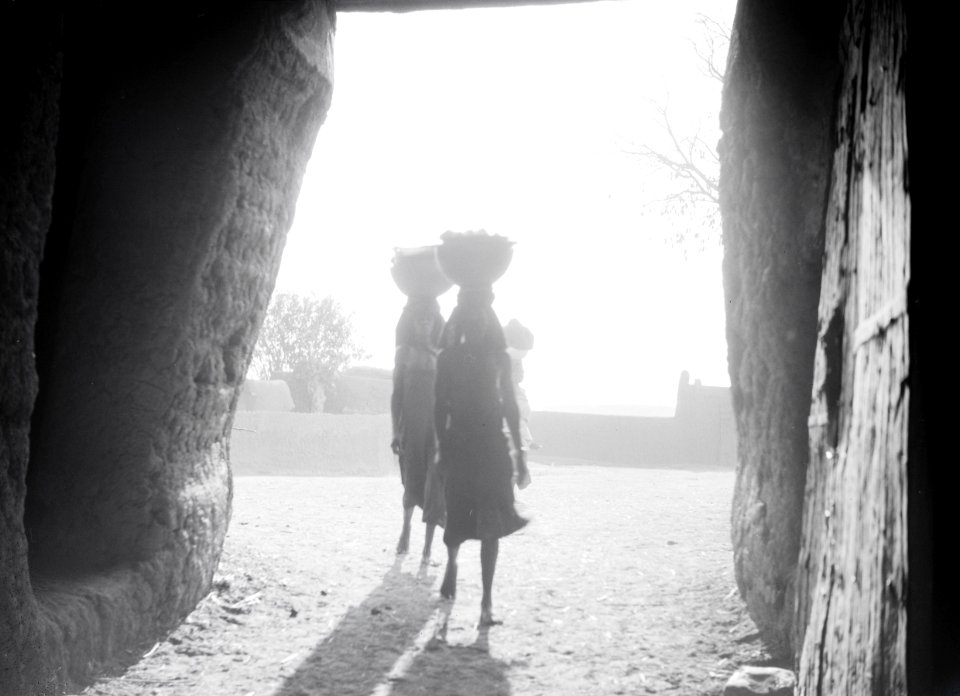 ETH-BIB-Frauen mit Körben auf dem Kopf im Gegenlicht-Tschadseeflug 1930-31-LBS MH02-08-0702