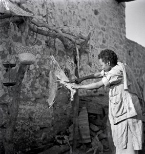 ETH-BIB-Frau bei Bearbeitung von getrocknetem Fleisch-Abessinienflug 1934-LBS MH02-22-0744