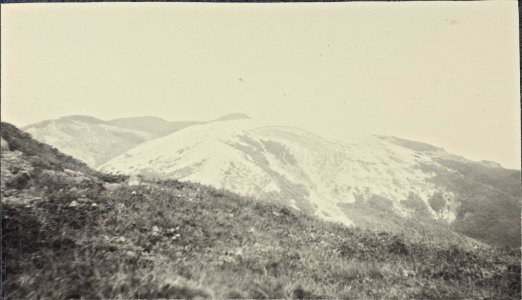 ETH-BIB-Friedlaender-Aschen auf der Ostseite des Tenjoyama-Gipfels, Kozu -Kozushima- (Izu)-Ans 05420-088-AL-FL