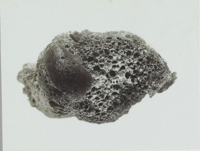 ETH-BIB-Friedlaender-Bombenquerschnitt als typisches Beispiel der Innenstruktur-Hs 0625a-0002-068