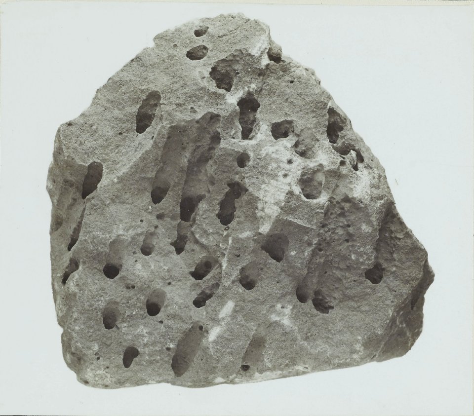 ETH-BIB-Friedlaender-Doleritlava von Reykjavik mit Gasblasenröhren, Island-Hs 0625a-0002-051