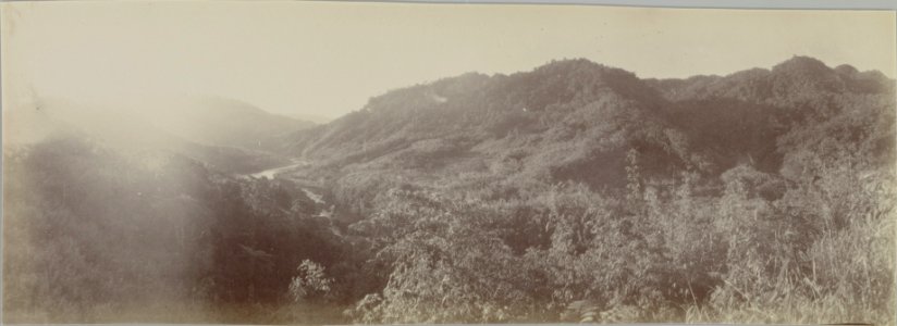 ETH-BIB-Friedlaender-Fiji 1907-Hs 0625a-0003-017