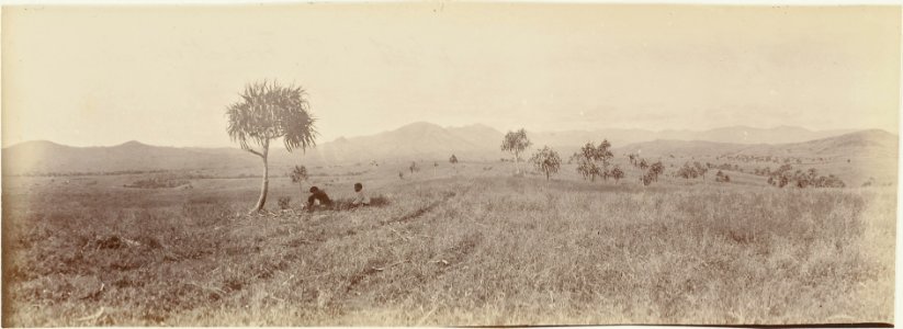 ETH-BIB-Friedlaender-Fiji 1907-Hs 0625a-0003-025
