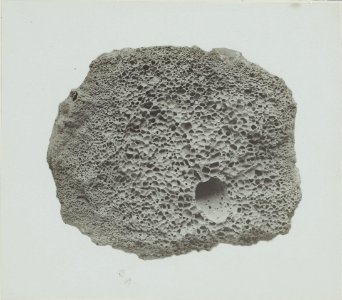 ETH-BIB-Friedlaender-Dichte Randzone und poröse Inenstruktur -i.e. Innenstruktur- einer Bombe vom Kansa-maharage (Zentralafrika)-Hs 0625a-0002-055