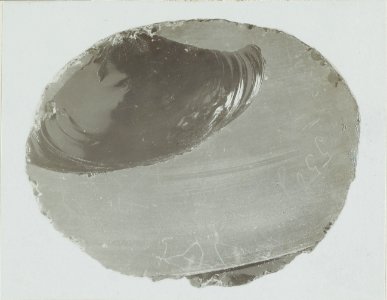 ETH-BIB-Friedlaender-Ebendieselbe, Querschnitt-Hs 0625a-0002-043