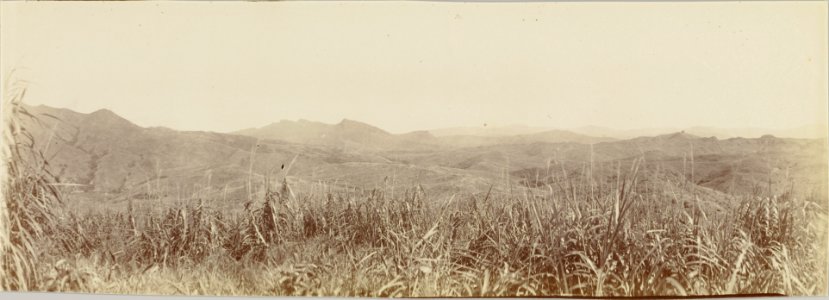 ETH-BIB-Friedlaender-Fiji, Fiji 1907-Hs 0625a-0003-043