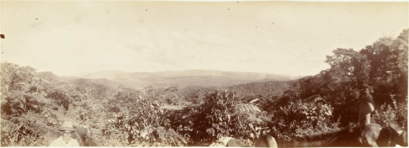 ETH-BIB-Friedlaender-Fiji 1907-Hs 0625a-0003-022