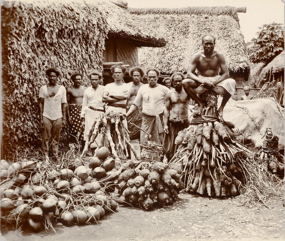 ETH-BIB-Friedlaender-Fiji, Preparing for feast, Fiji-Hs 0625a-0003-005