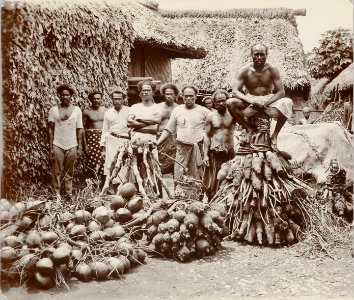 ETH-BIB-Friedlaender-Fiji, Preparing for feast, Fiji-Hs 0625a-0003-005