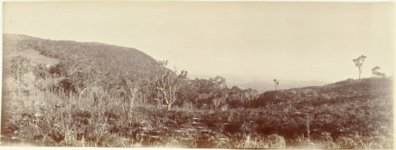 ETH-BIB-Friedlaender-Fiji 1907-Hs 0625a-0003-023