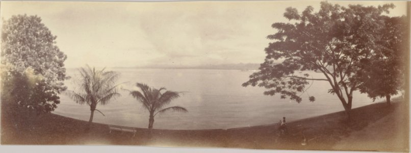 ETH-BIB-Friedlaender-Fiji, Suva 1907-Hs 0625a-0003-045