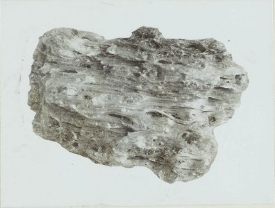 ETH-BIB-Friedlaender-Grauweisser Bimsstein des Rudloffkraters mit faseriger Struktur-Hs 0625a-0002-050