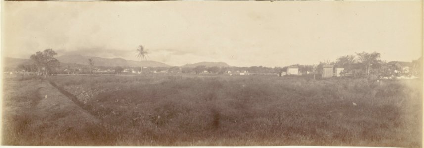 ETH-BIB-Friedlaender-Fiji, Narua, 1907-Hs 0625a-0003-033