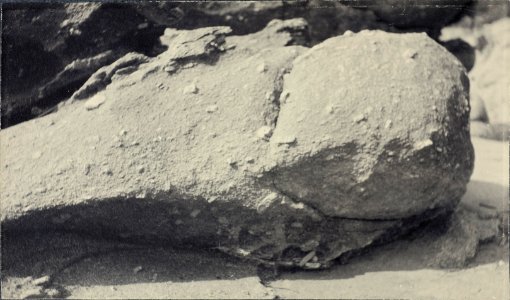 ETH-BIB-Friedlaender-Granit mit grossen Feldspäten, Yakushima-Ans 05420-063-AL-FL
