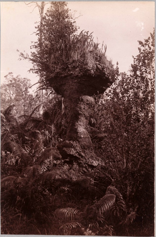 ETH-BIB-Friedlaender-Kapoho, Puna-Hs 1309-0034-038