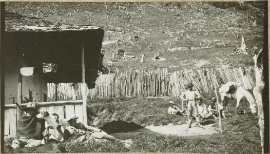 ETH-BIB-Friedlaender-Kolumbien, La Honda, Tolima-Hs 1309-0043-082