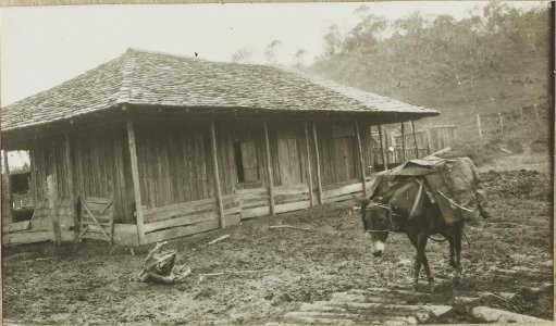 ETH-BIB-Friedlaender-Kolumbien, Salento-Hs 1309-0043-069
