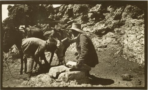 ETH-BIB-Friedlaender-Milos, Elias, 1923-Hs 0625a-0004-086