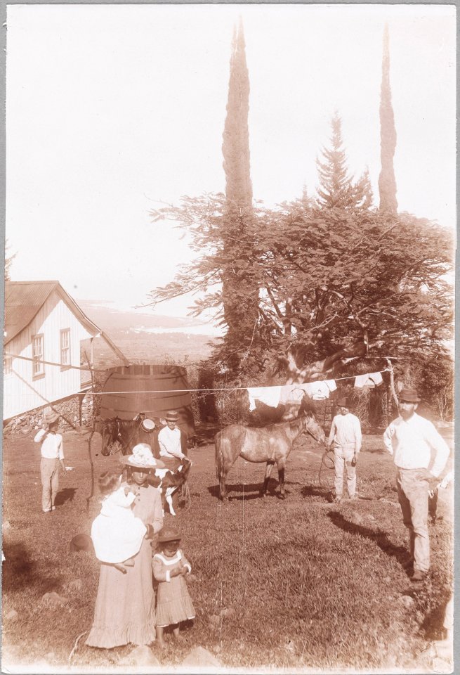 ETH-BIB-Friedlaender-Mauna Loa, Manuel Borea, oberhalb Kailua, Kona-Hs 1309-0035-033